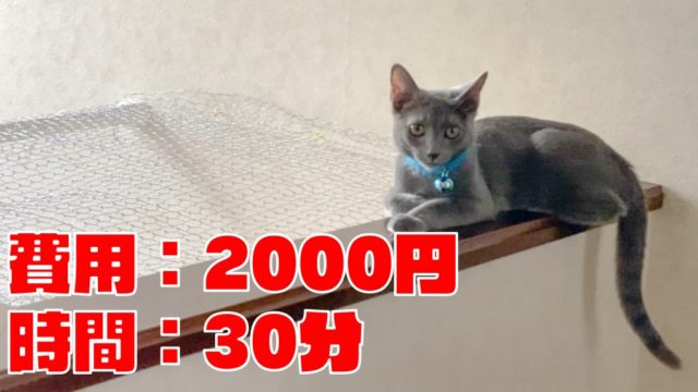 【2000円で簡単作成】『猫の階段転落防止装置』に必要な道具と作り方